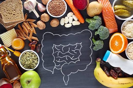 Gut Health 101: How Your Digestive System Shapes Your Overall Wellbeing Gut Health 101