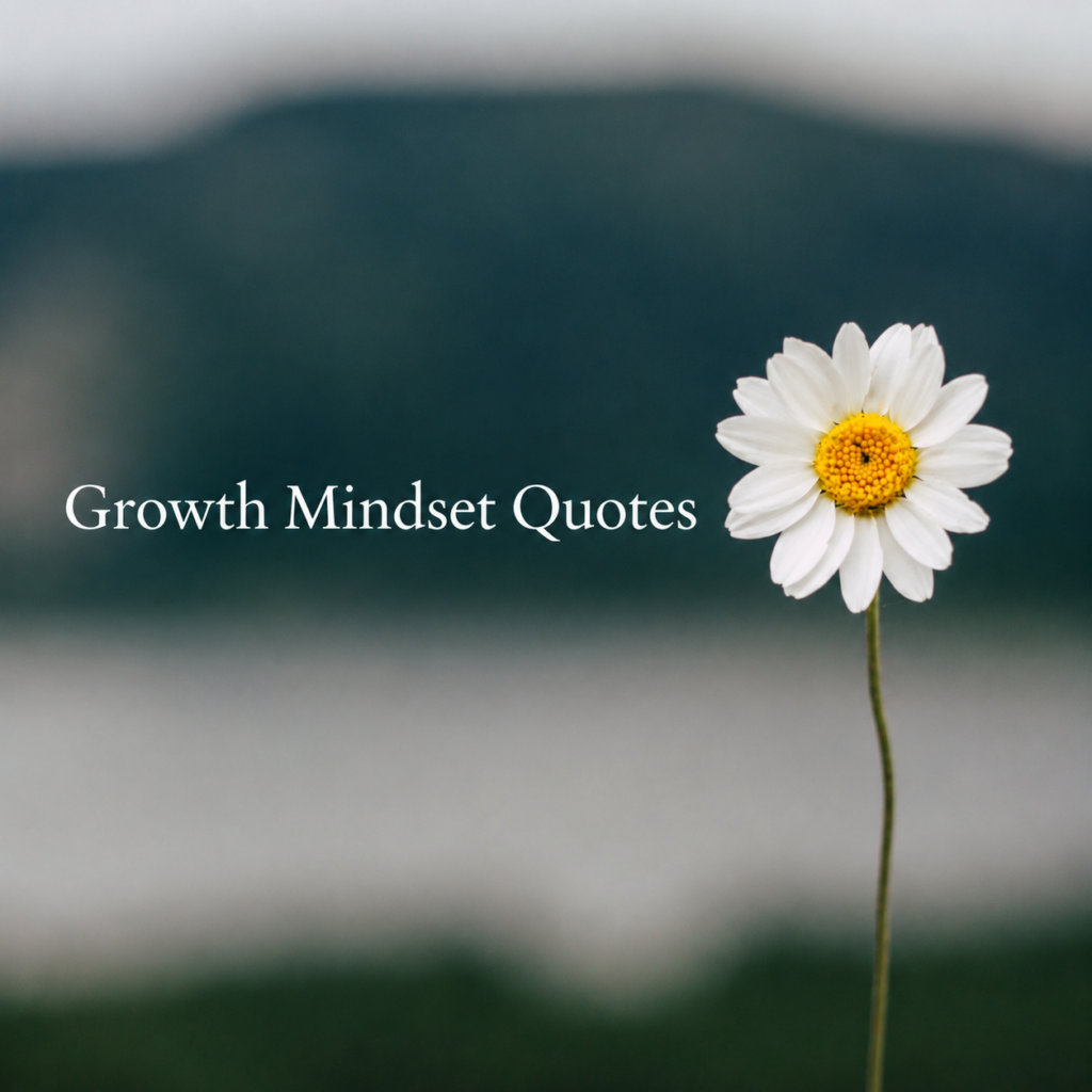 mindset quotes